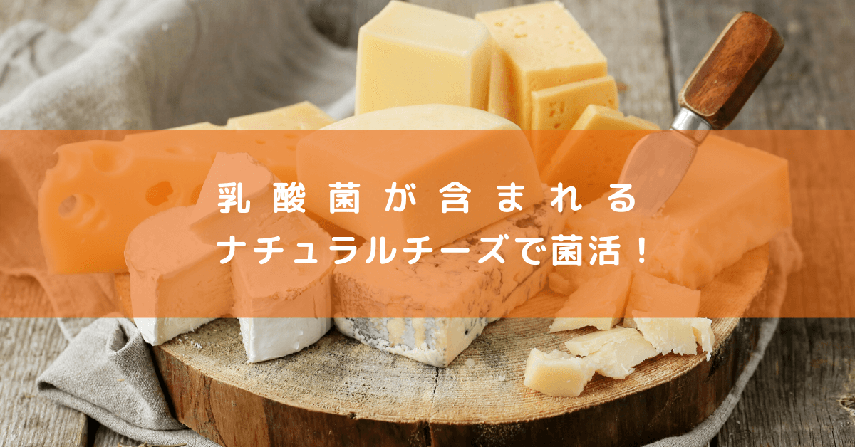 【腸活】乳酸菌が含まれるナチュラルチーズで菌活！